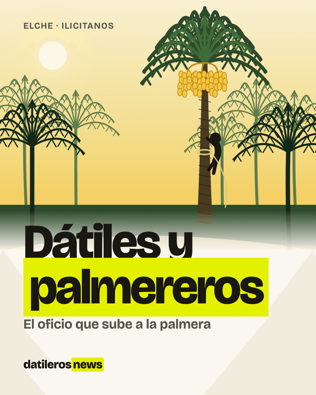 Ilustración de un palmerero subiendo a una palmera datilera con racimos de dátiles, al estilo de Datileros